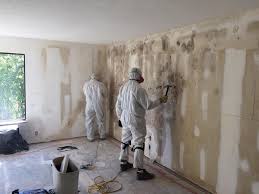 Best Real Estate Mold Inspection  in Tangelo Park, FL